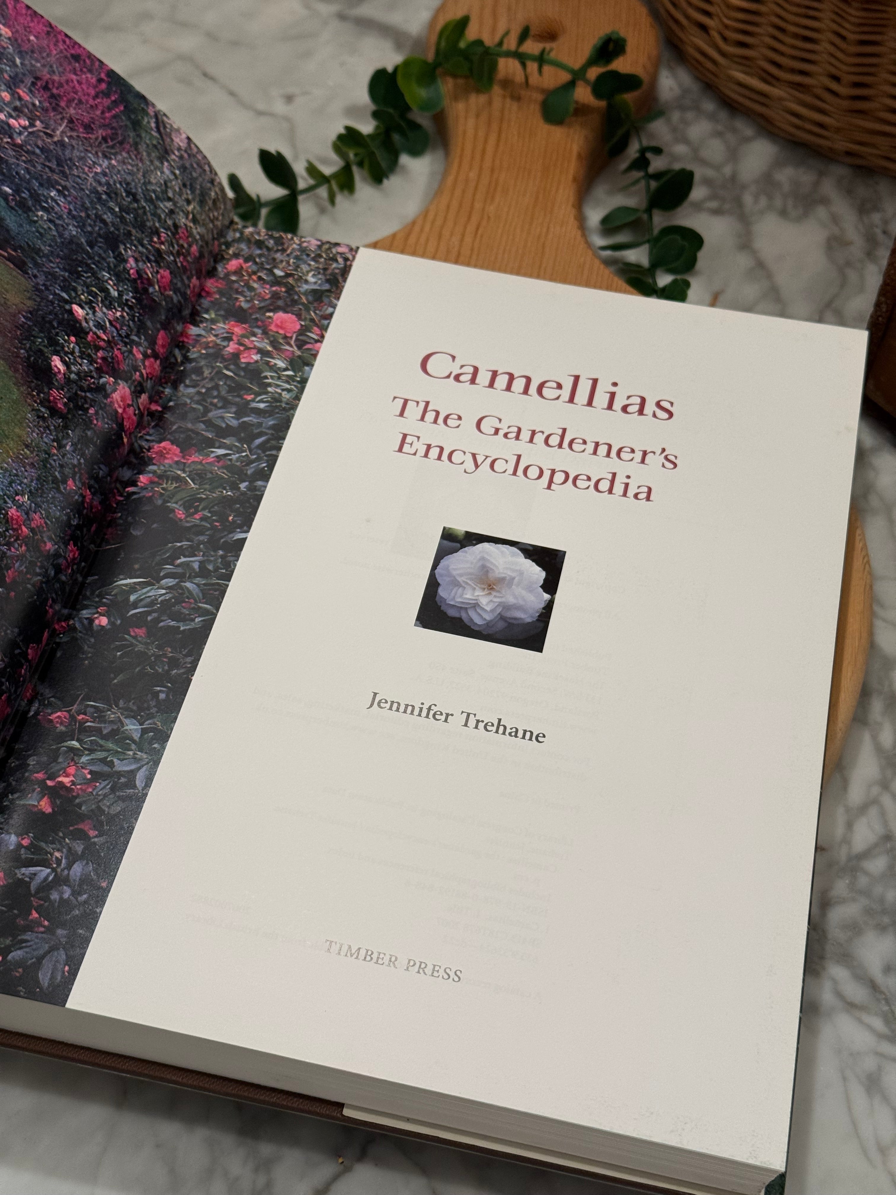 Camellias The Garden's Encyclopedia Book