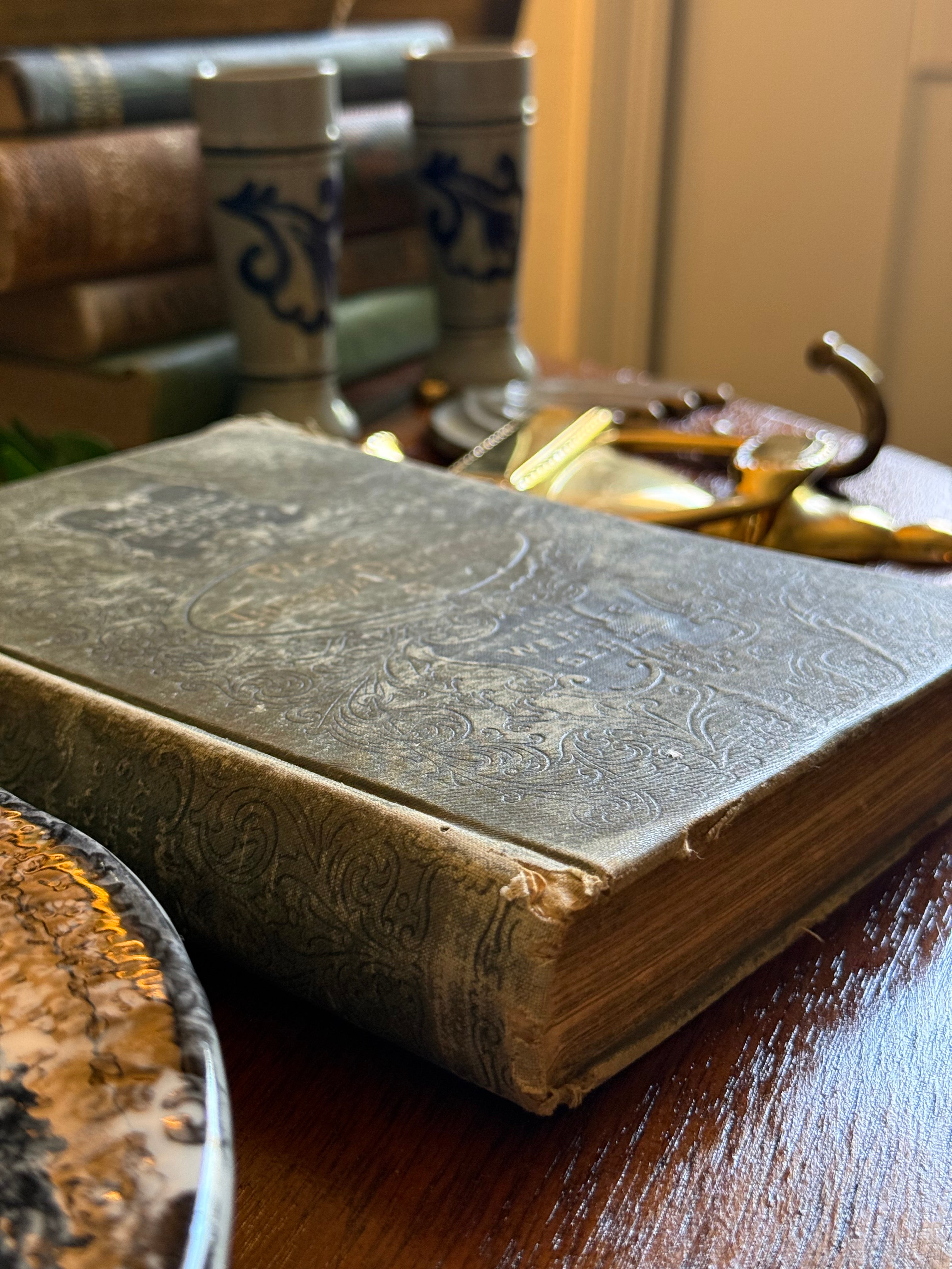 Antique 1895 The Working Teacher's Library Book