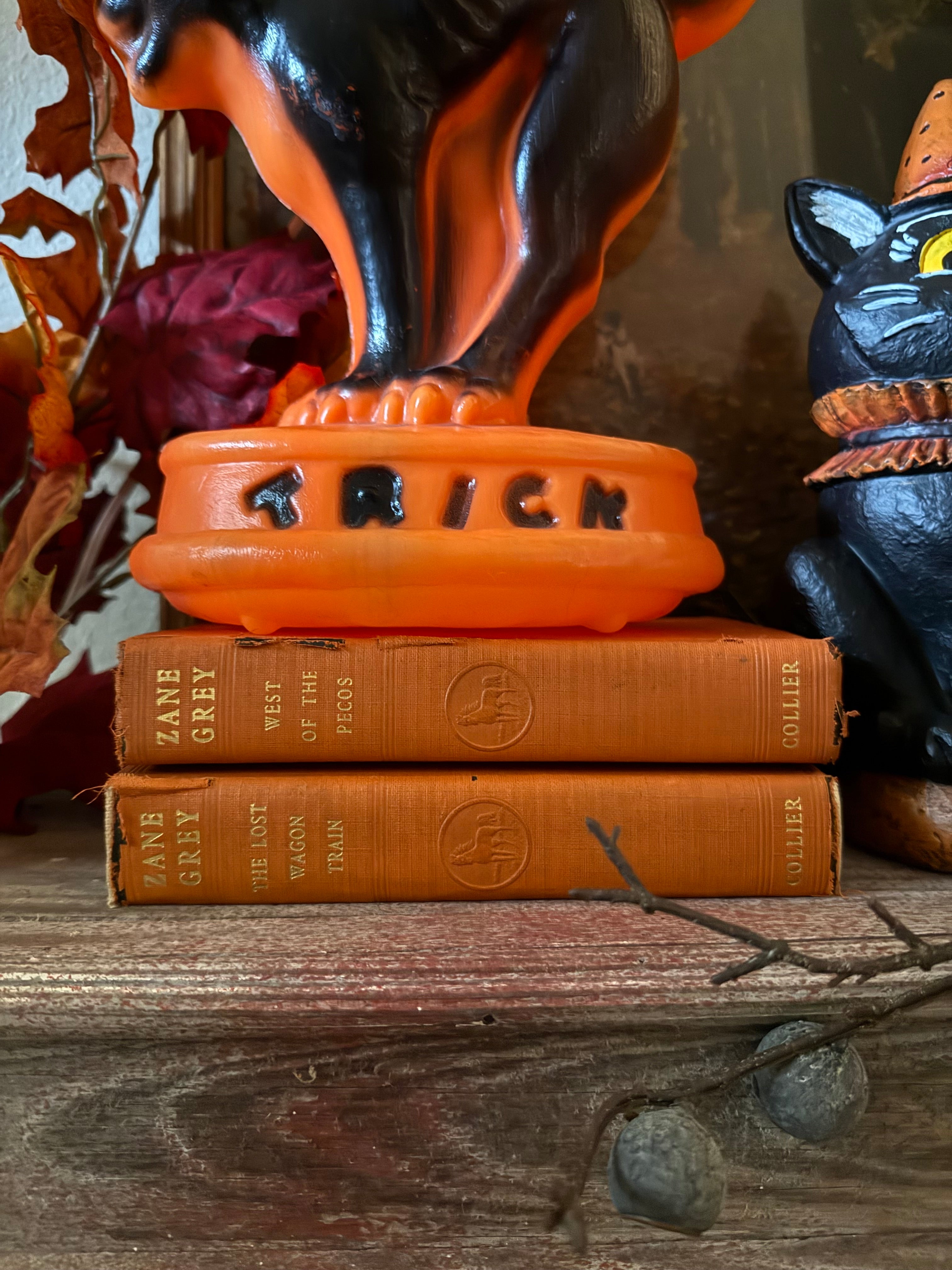 Vintage Orange Set of 2 Hardcover Books Shelf Decor by Zane Grey