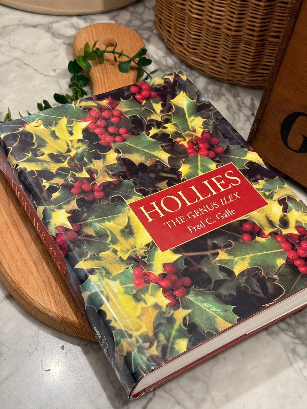 Hollies, The Genus Ilex Monograph Book