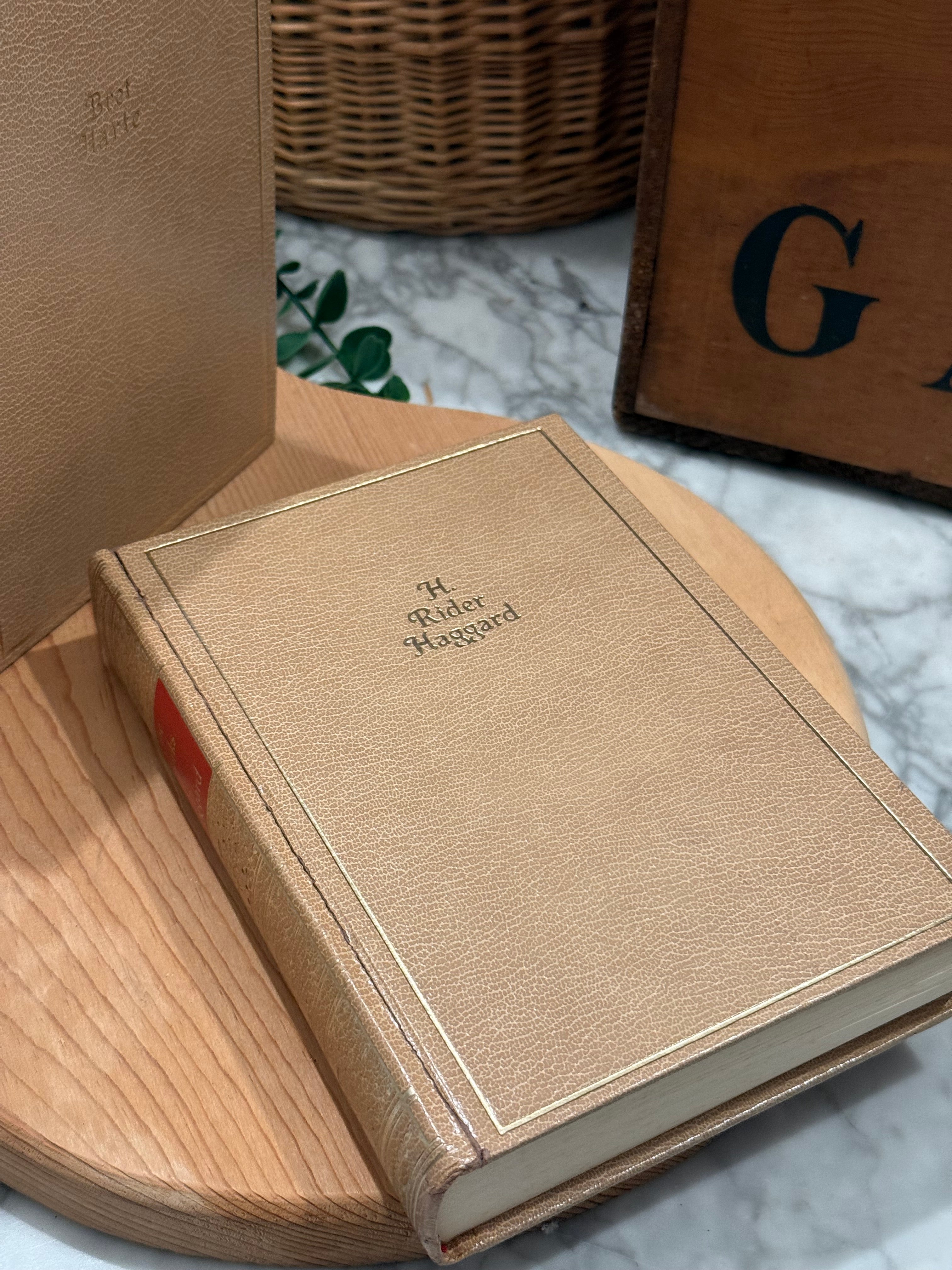 Vintage 1928 Works of Haggard Reader's Volume