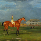 The Paddock No. 01 - 8x10 Framed Horse Racing Thoroughbred Portrait