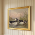 The Waterfowl No. 02 - Archival 8 x 10" Framed Bufflehead Ducks Fine Art Print