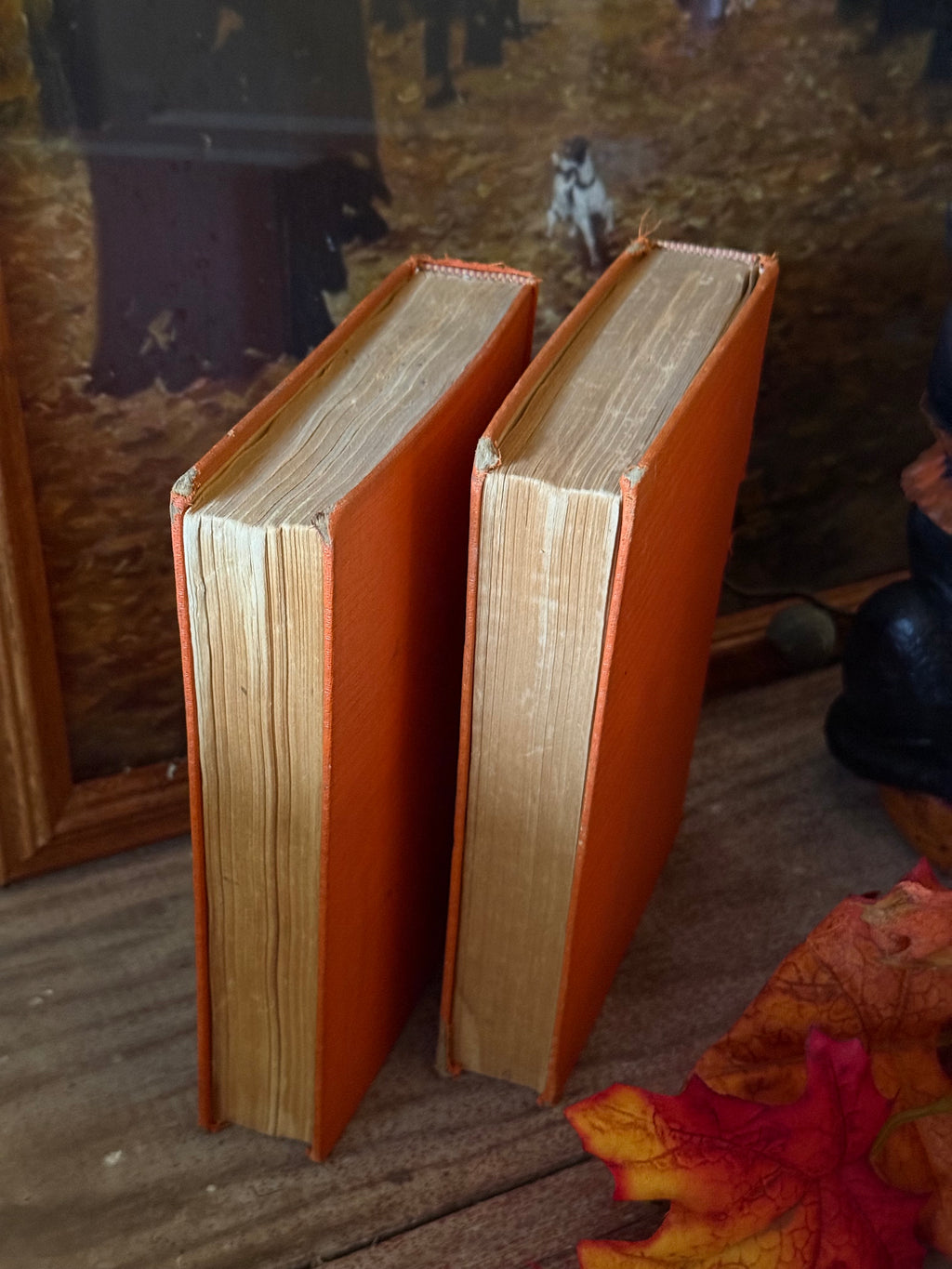 Vintage Orange Set of 2 Hardcover Books Shelf Decor by Zane Grey
