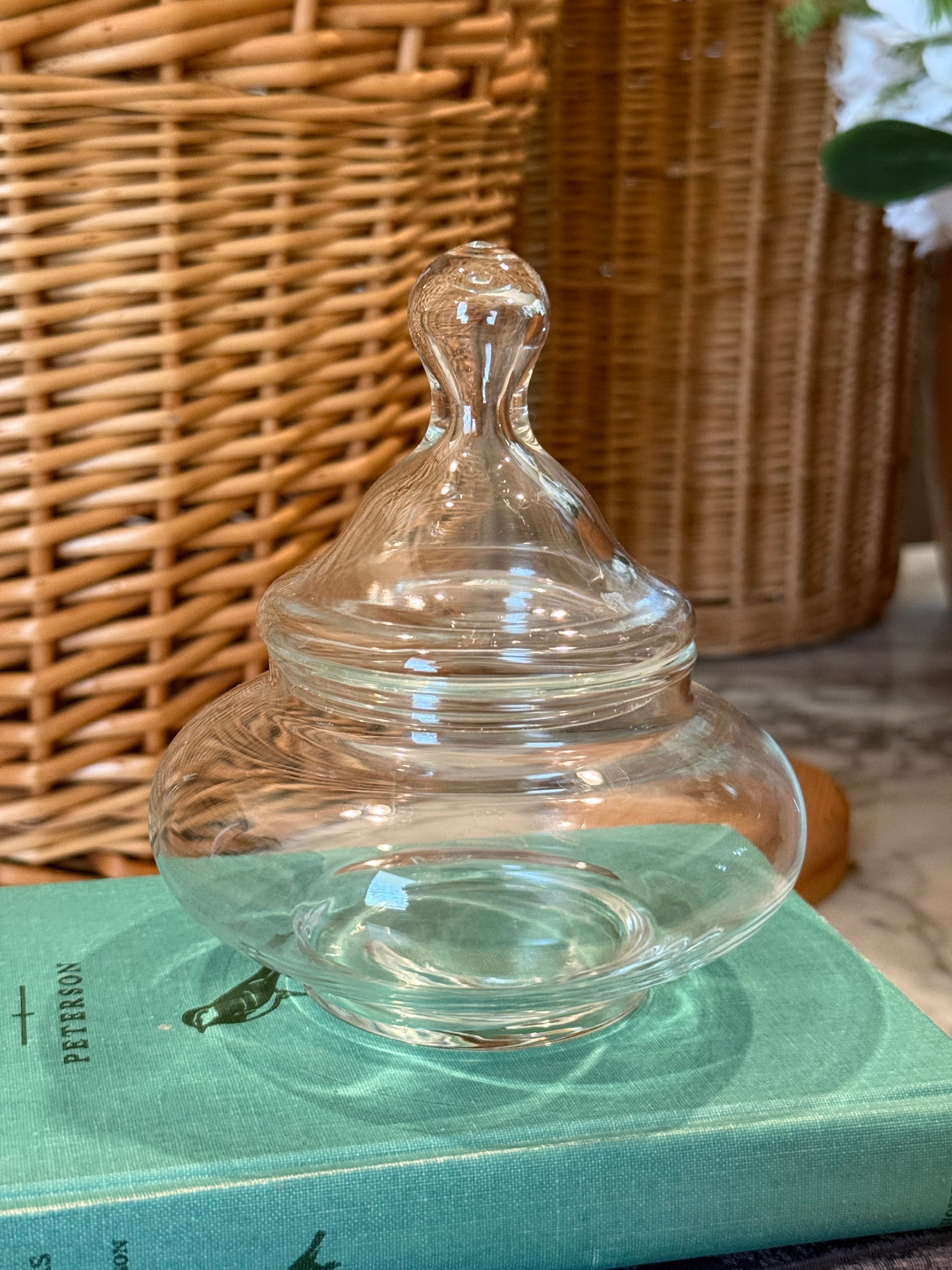 Vintage Clear Glass Apothecary Jar with Lid