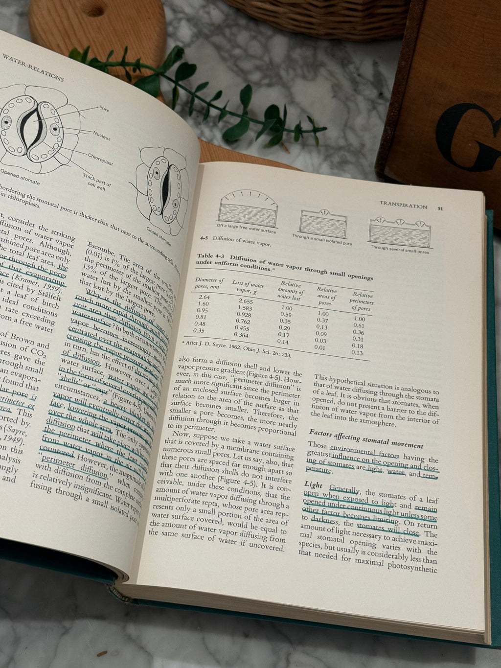 Vintage 1969 Plant Physiology Academic Volume
