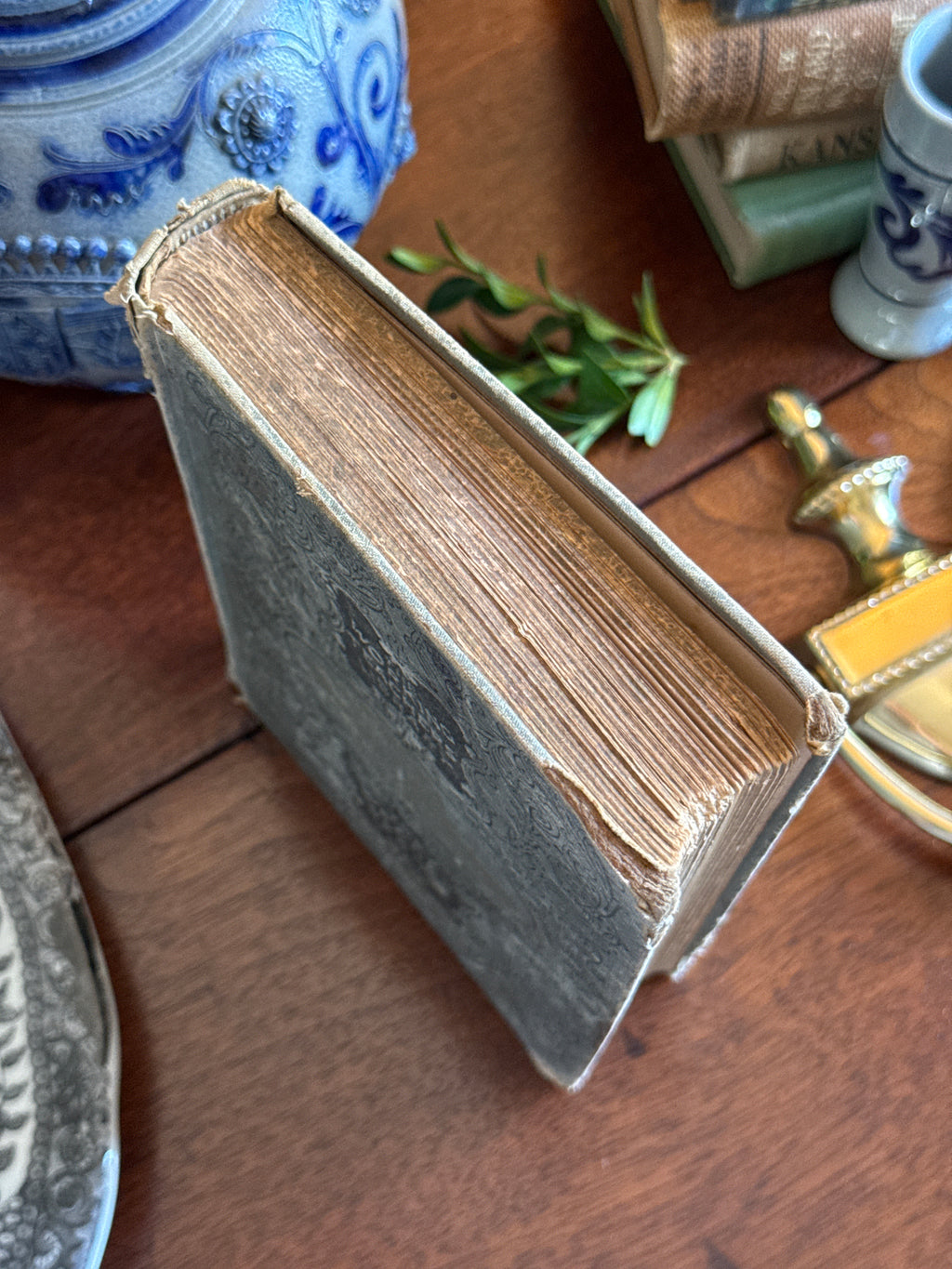 Antique 1895 The Working Teacher's Library Book