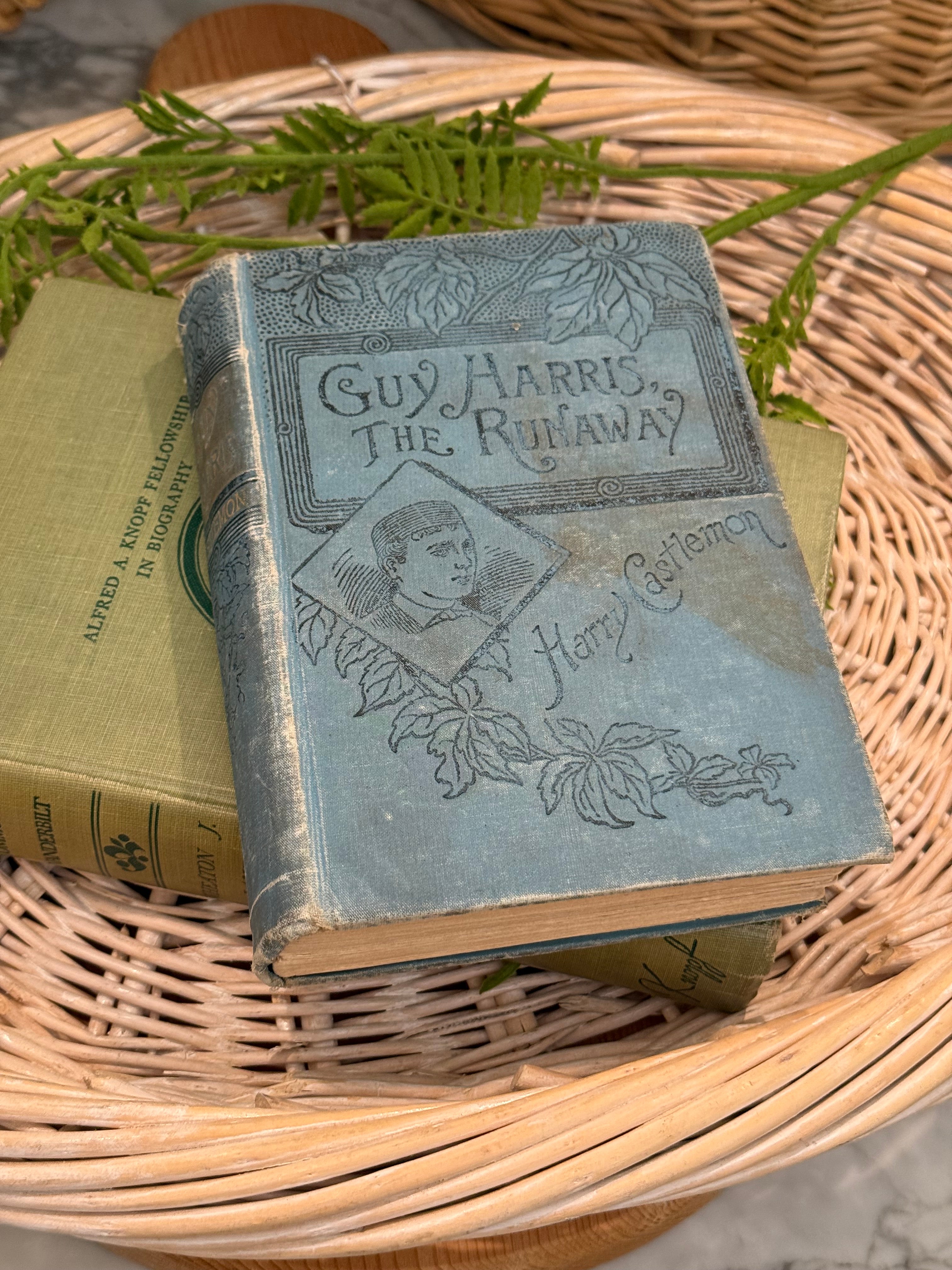 Vintage Guy Harris "The Runaway" Illustrated Children's Book