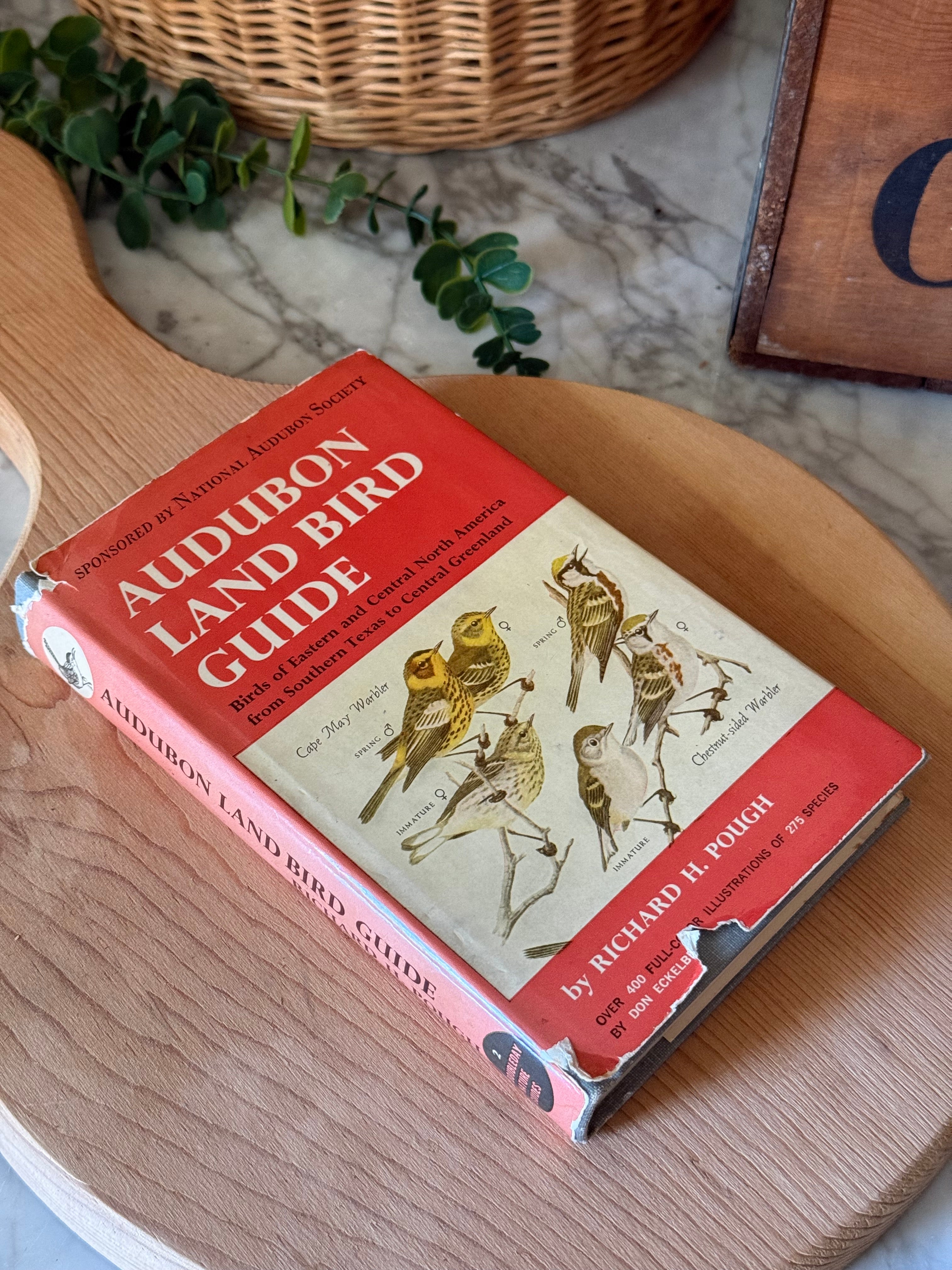 Vintage Illustrated Audubon Land Bird Guide