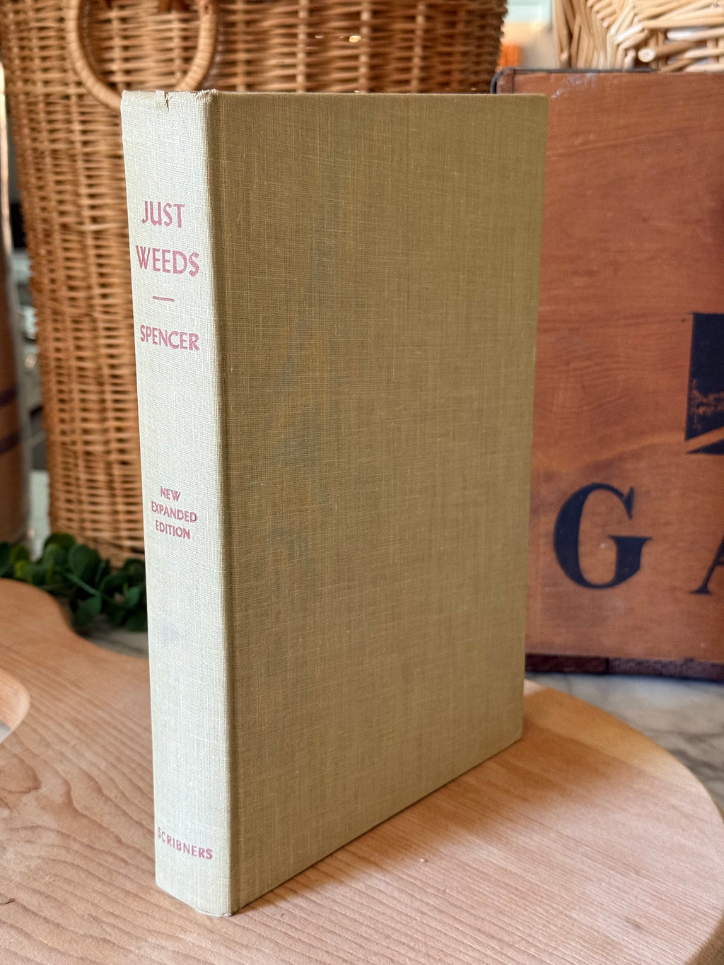 Vintage Just Weeds Botanical Book