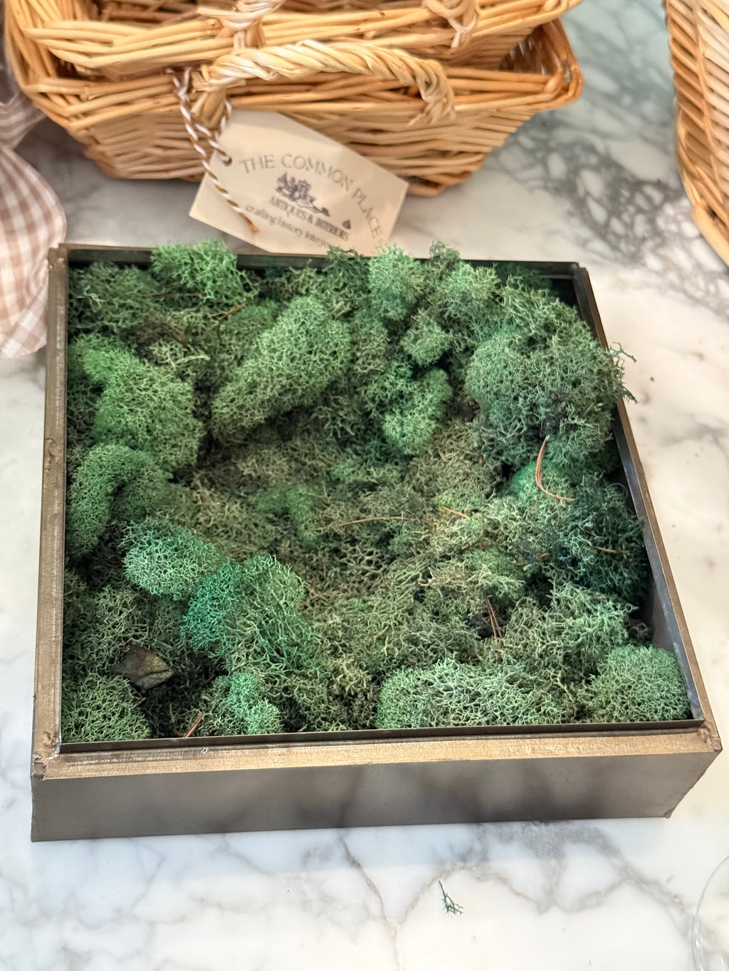 Brass Table Terrarium with Leaded Glass Gable Roof Planter