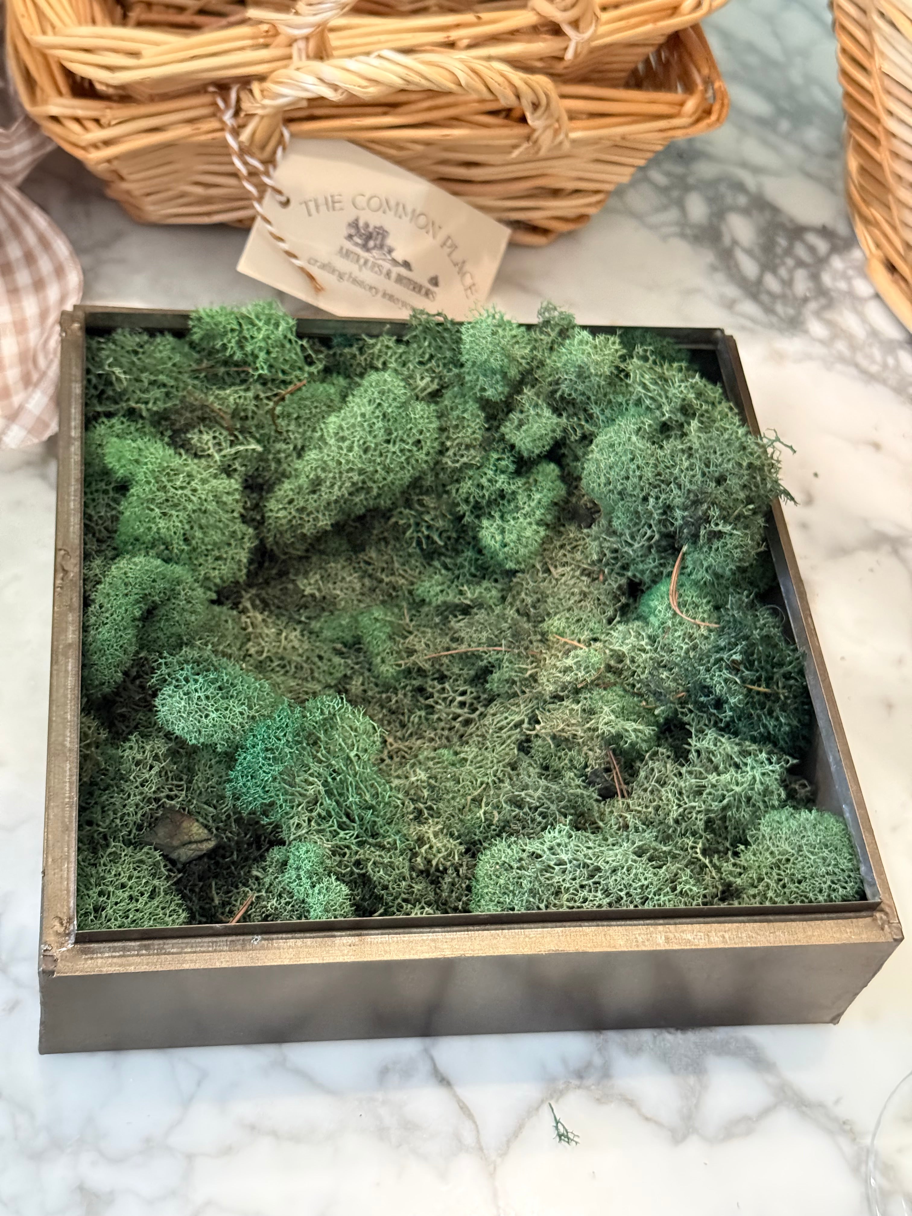 Brass Table Terrarium with Leaded Glass Gable Roof Planter