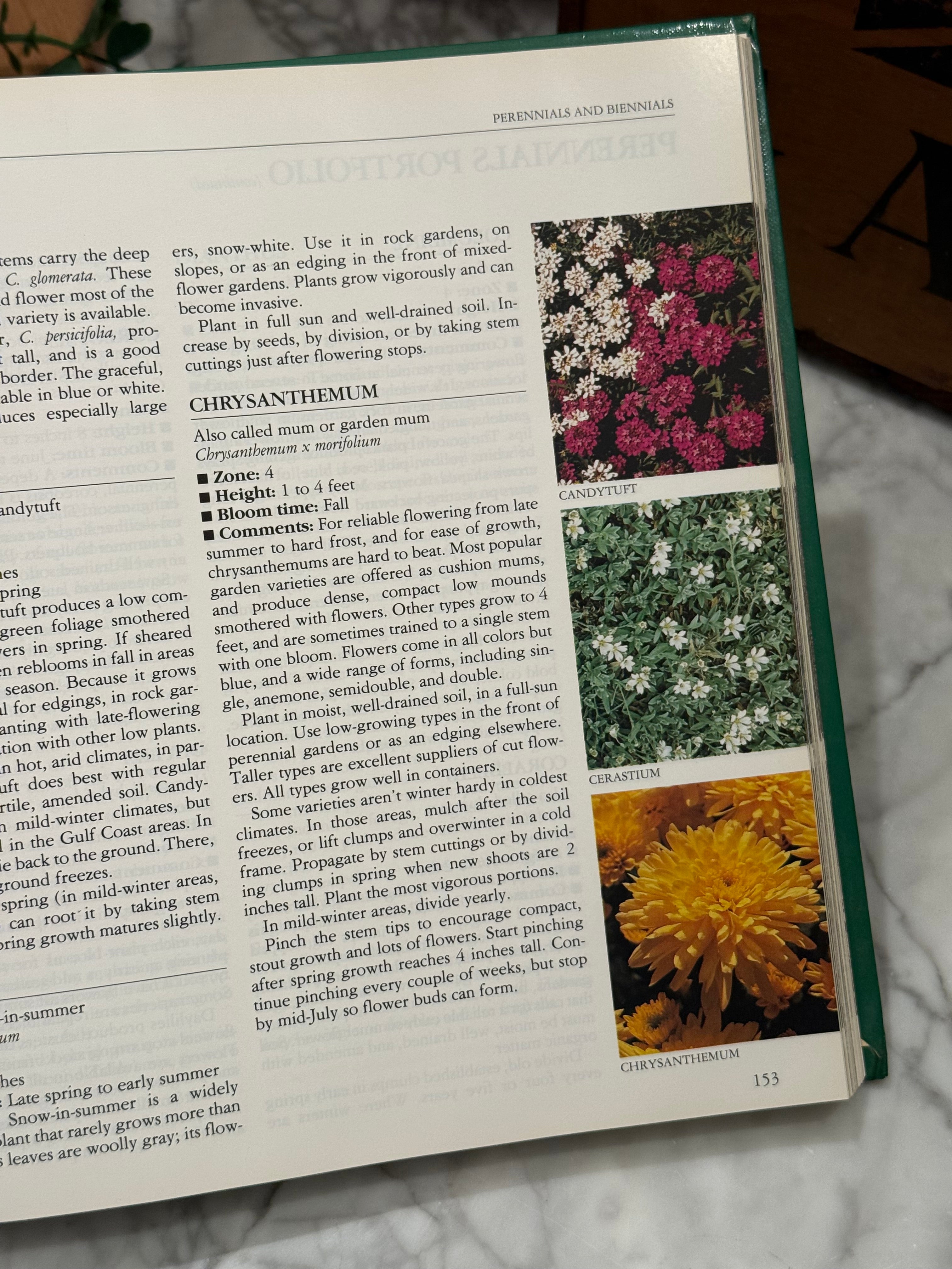 Vintage Better Homes and Gardens - New Garden Book