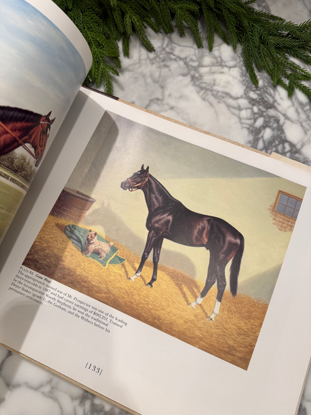 Legends: The Art of Richard Stone Reeves Book
