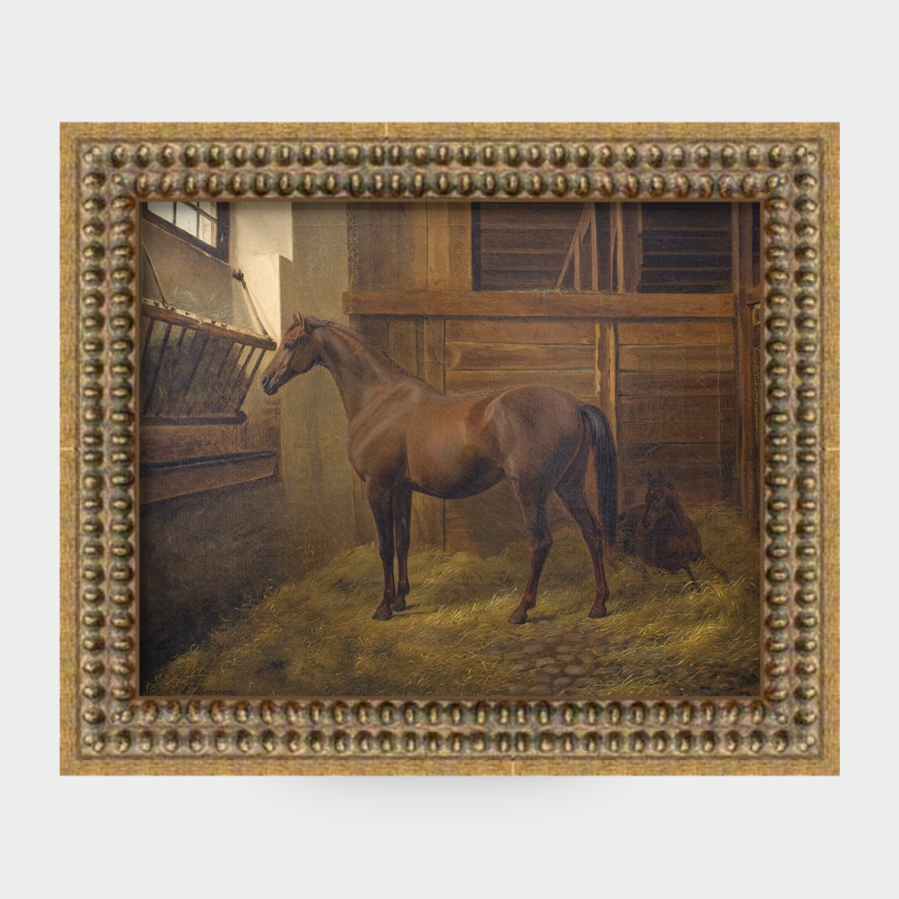The Paddock No. 12