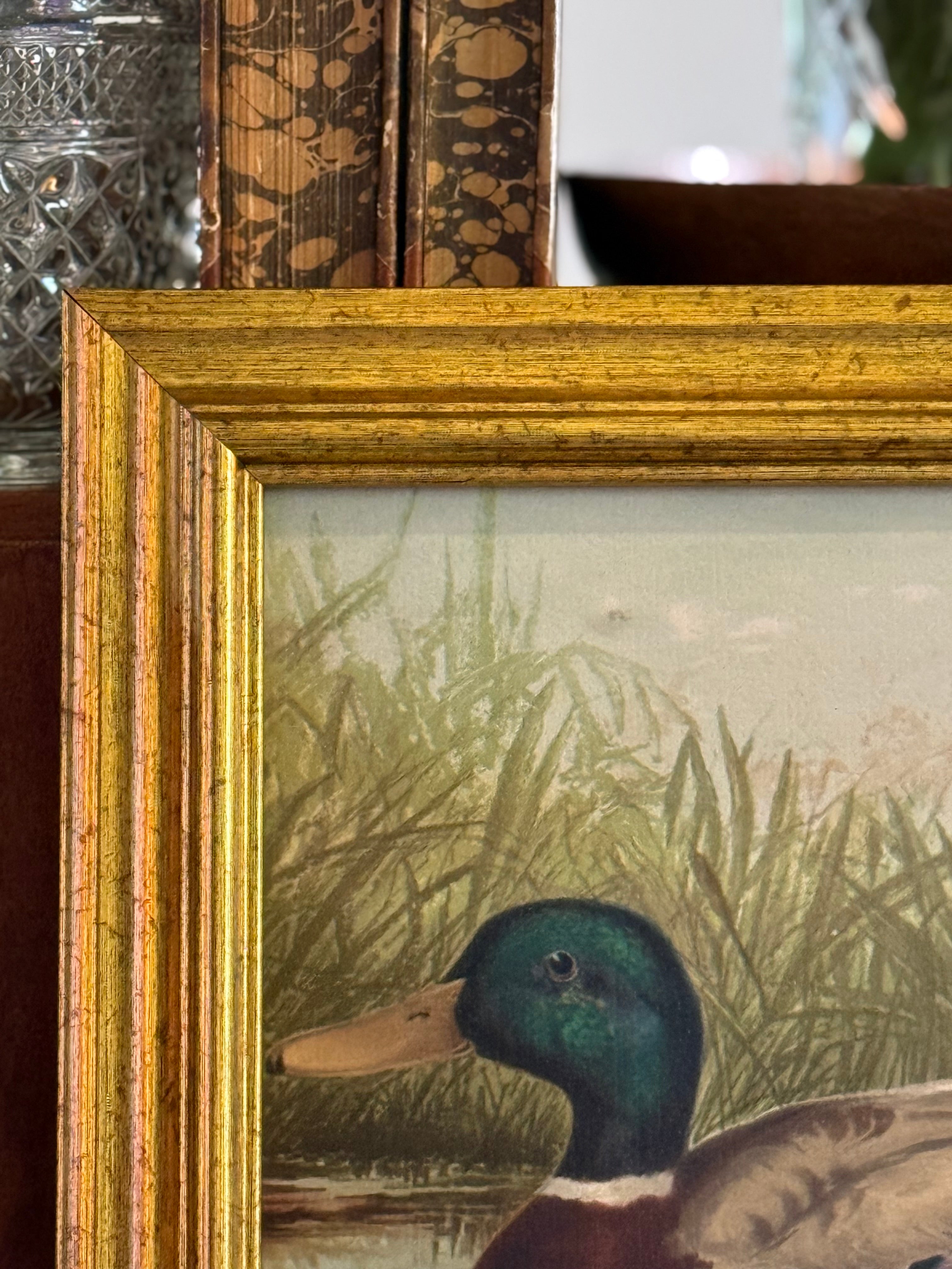 The Waterfowl No. 01