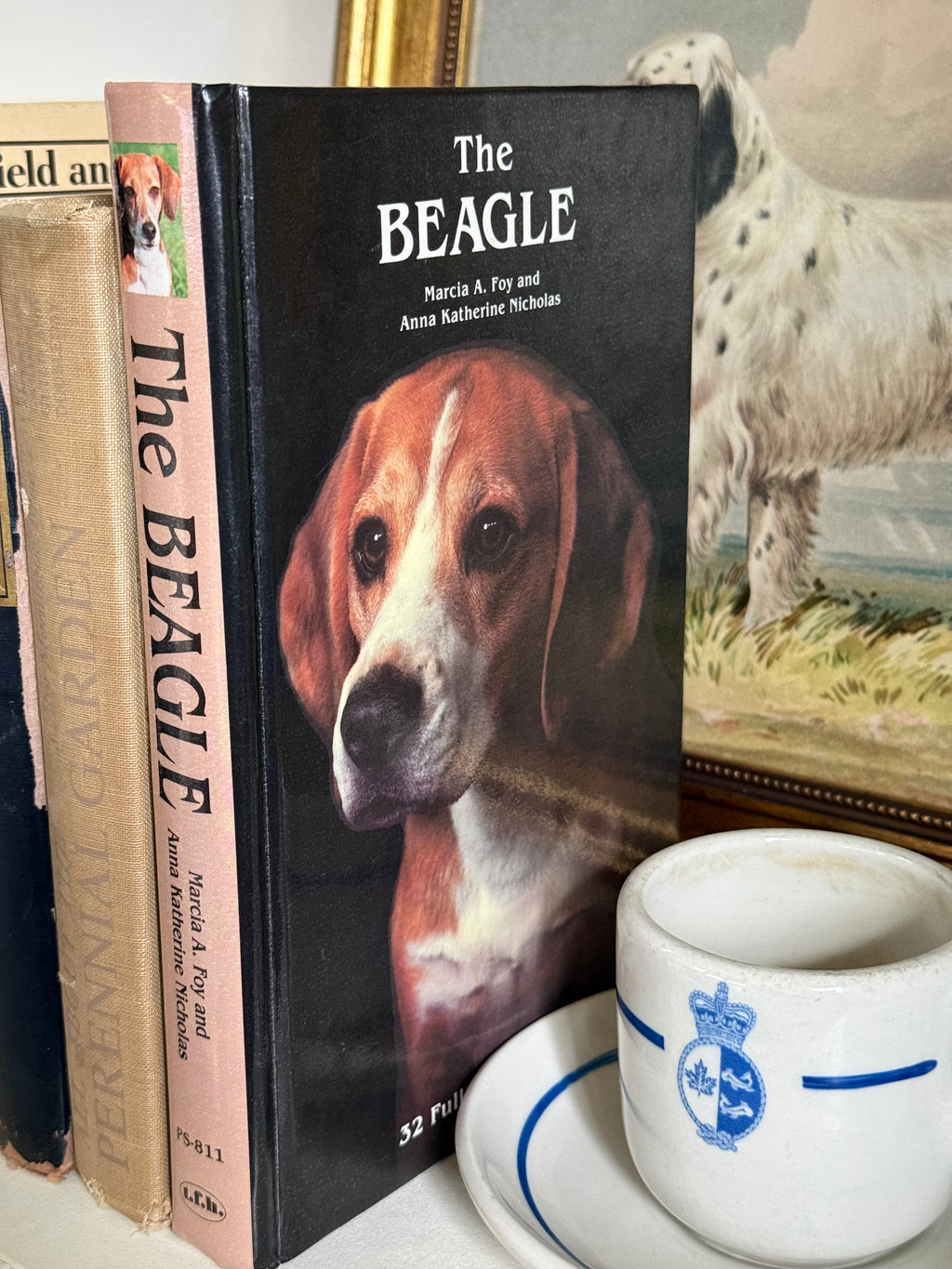 Vintage The Beagle Illustrated Country Estate Breeding & Hunt Guide