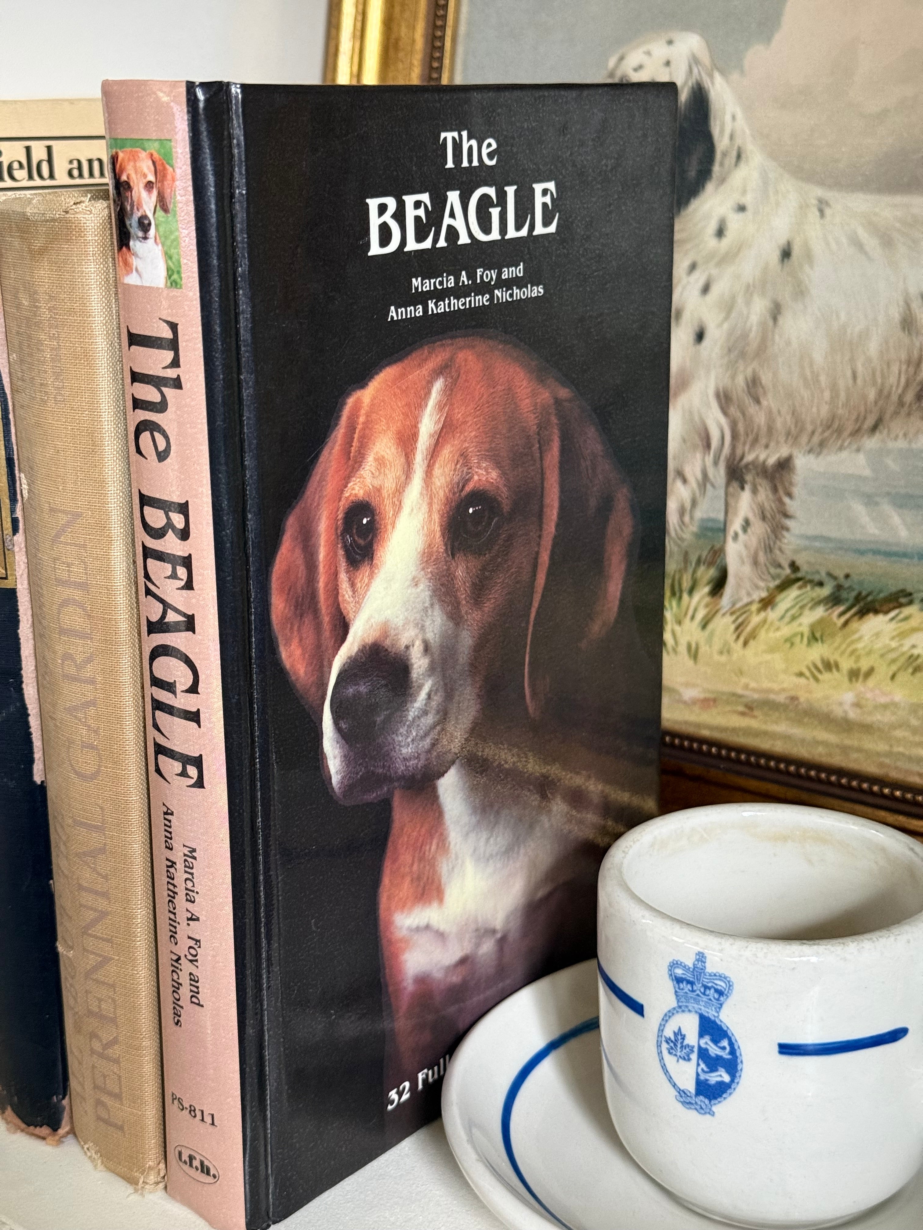 Vintage The Beagle Illustrated Country Estate Breeding & Hunt Guide