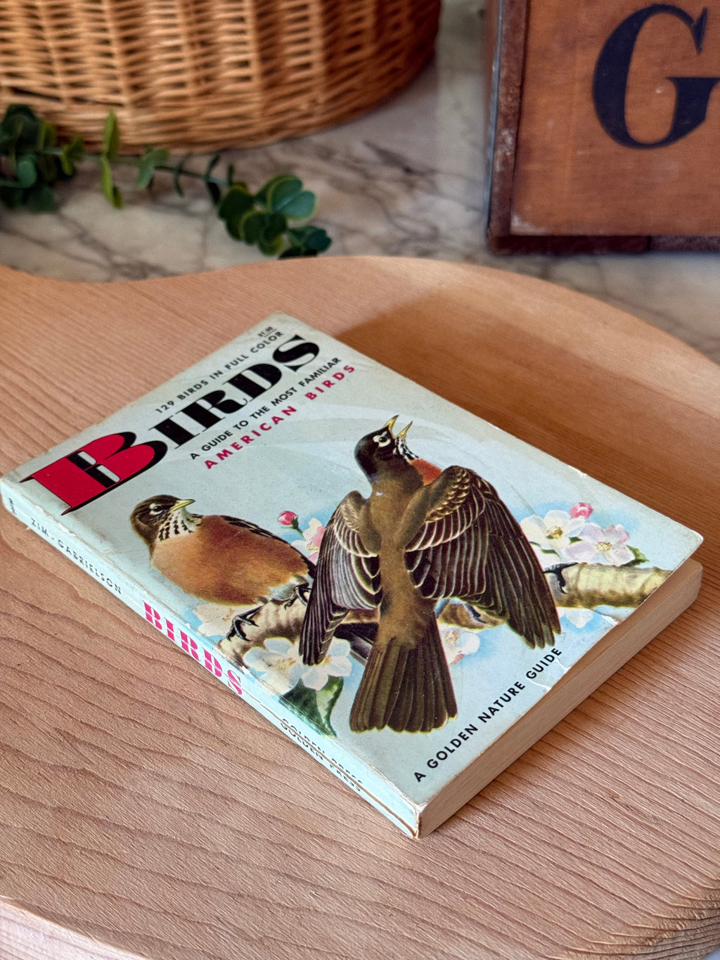 1962 Birds of North America Golden Guide