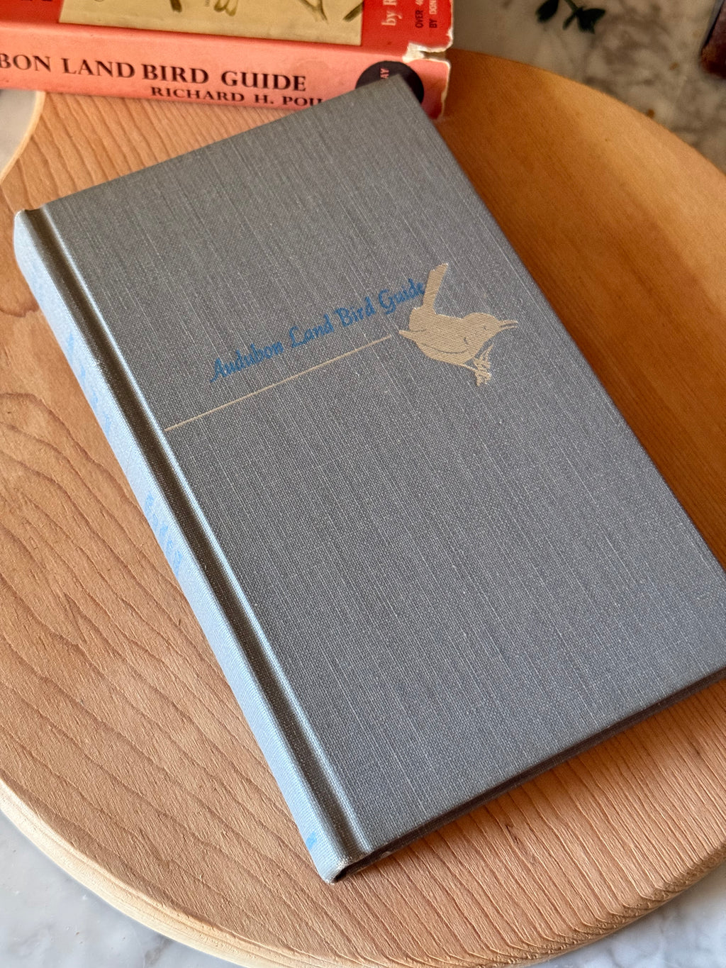 Vintage Illustrated Audubon Land Bird Guide