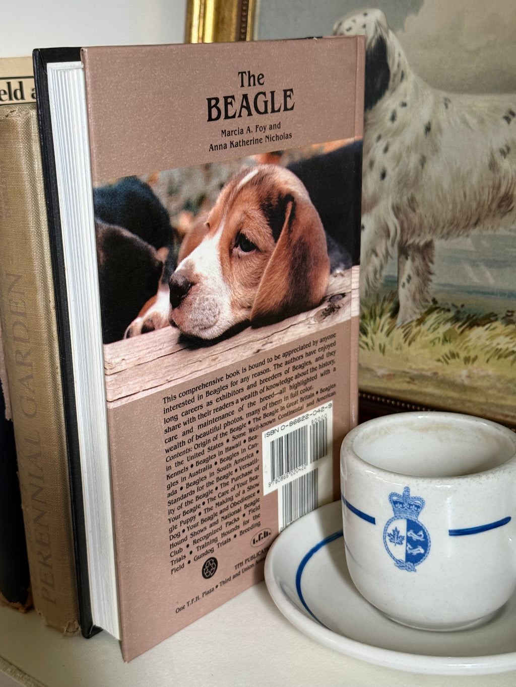 Vintage The Beagle Illustrated Country Estate Breeding & Hunt Guide