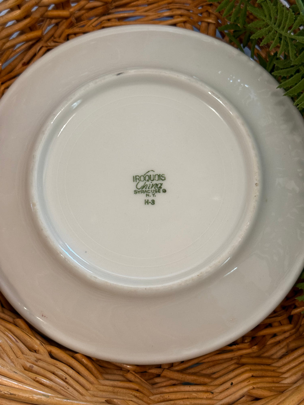 Vintage The Mayflower Shop Restaurantware 9" Dinner Plate