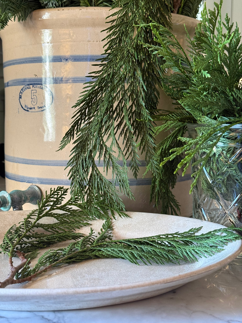 Fresh Western Red Cedar Boughs