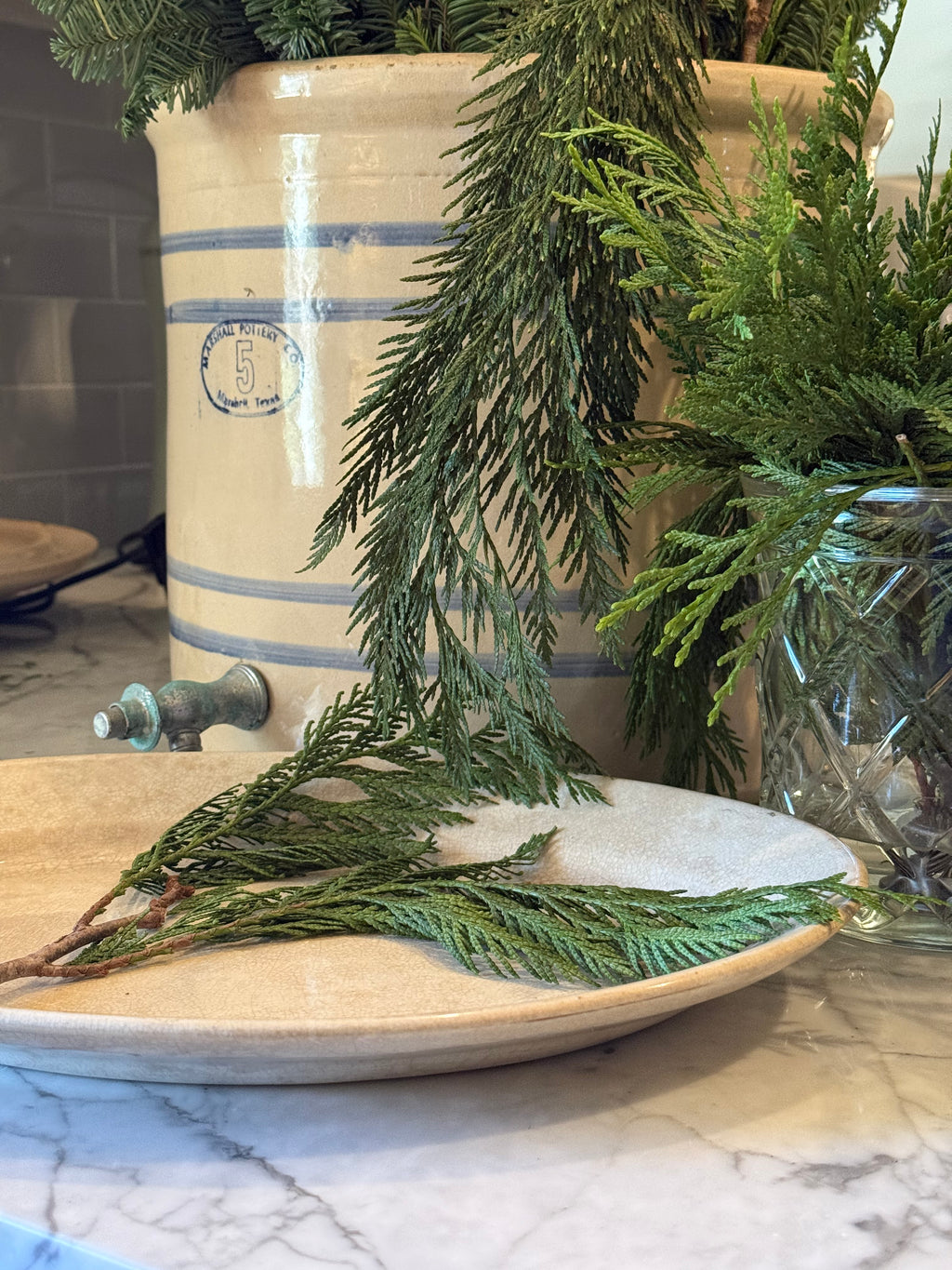 Fresh Western Red Cedar Boughs