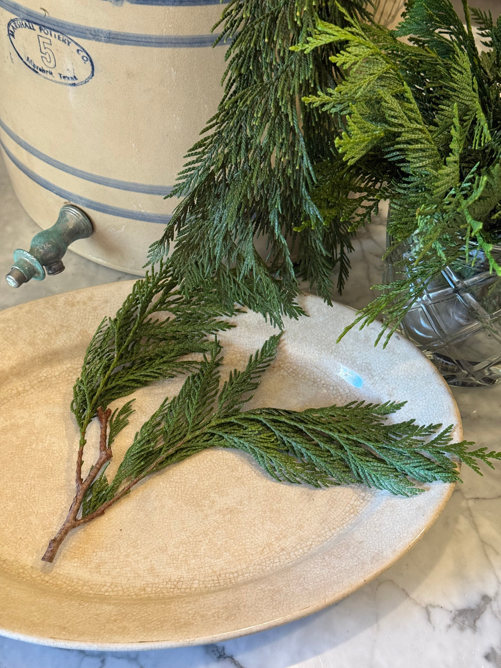 Fresh Western Red Cedar Boughs