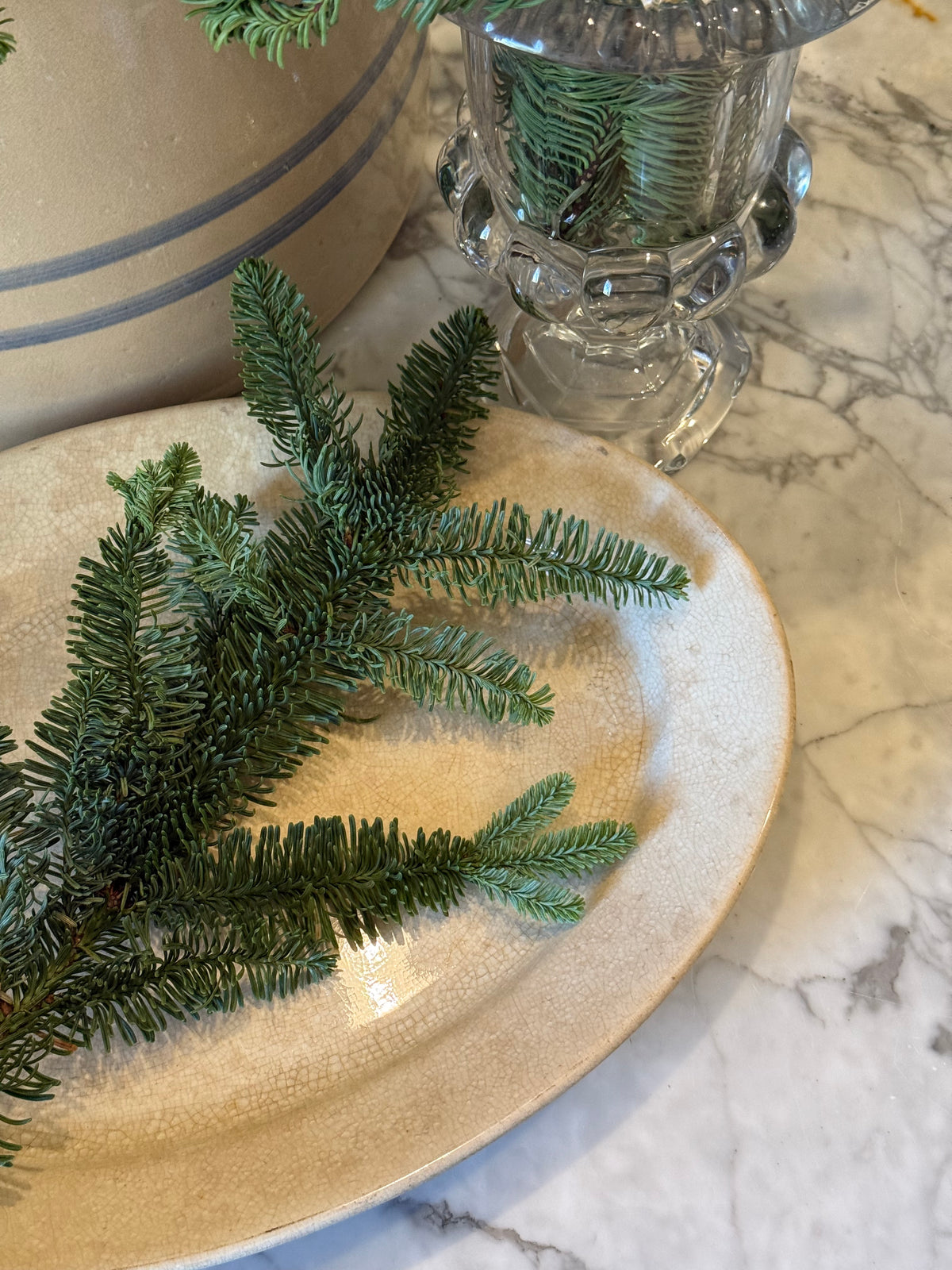 Fresh Noble Fir Boughs