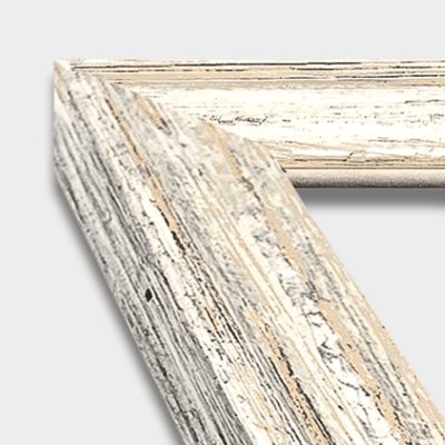 Wide Coastal White