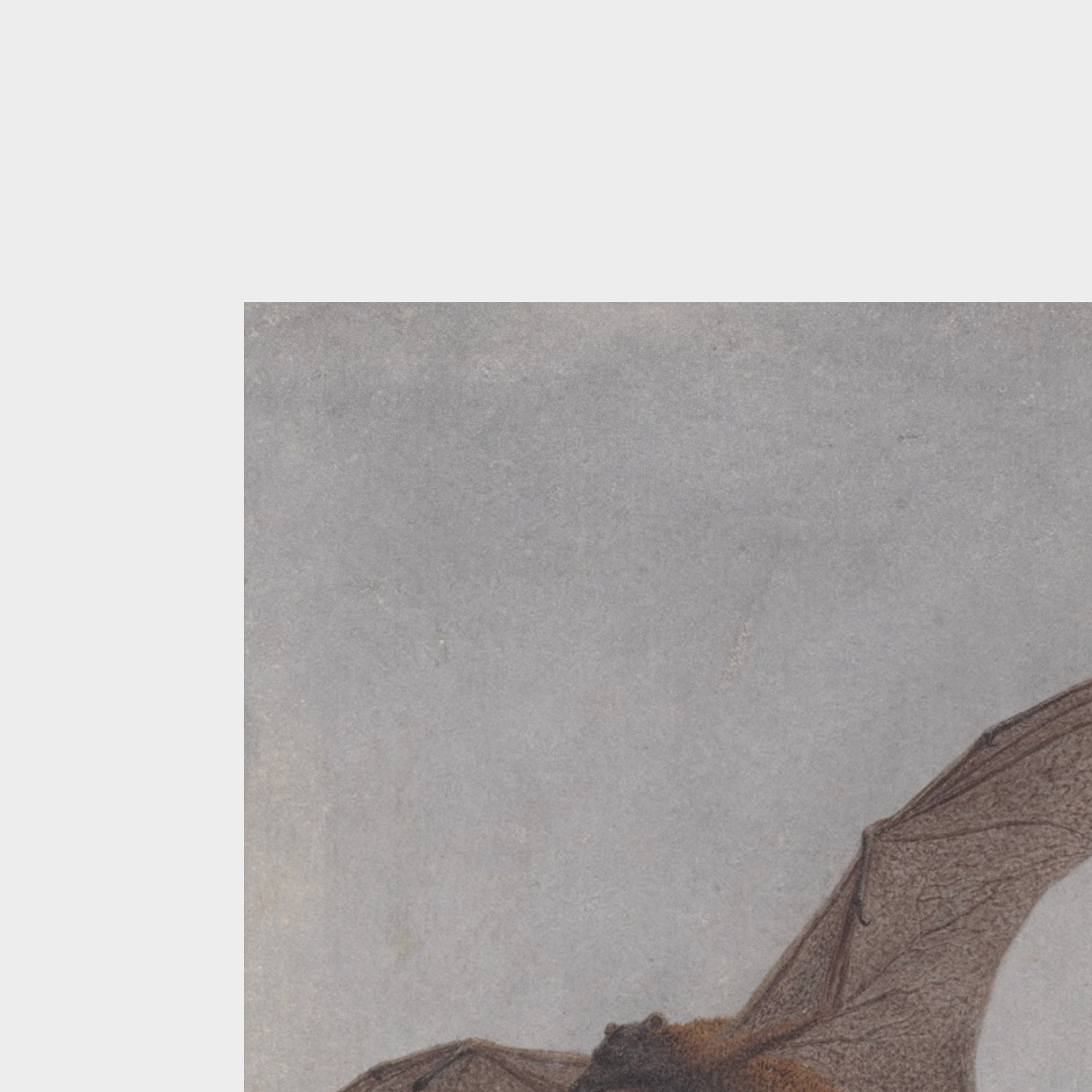 A detailed close-up shot showcasing the premium paper grain texture and rich ink details of the Autumn No. 07 art print reproduction.