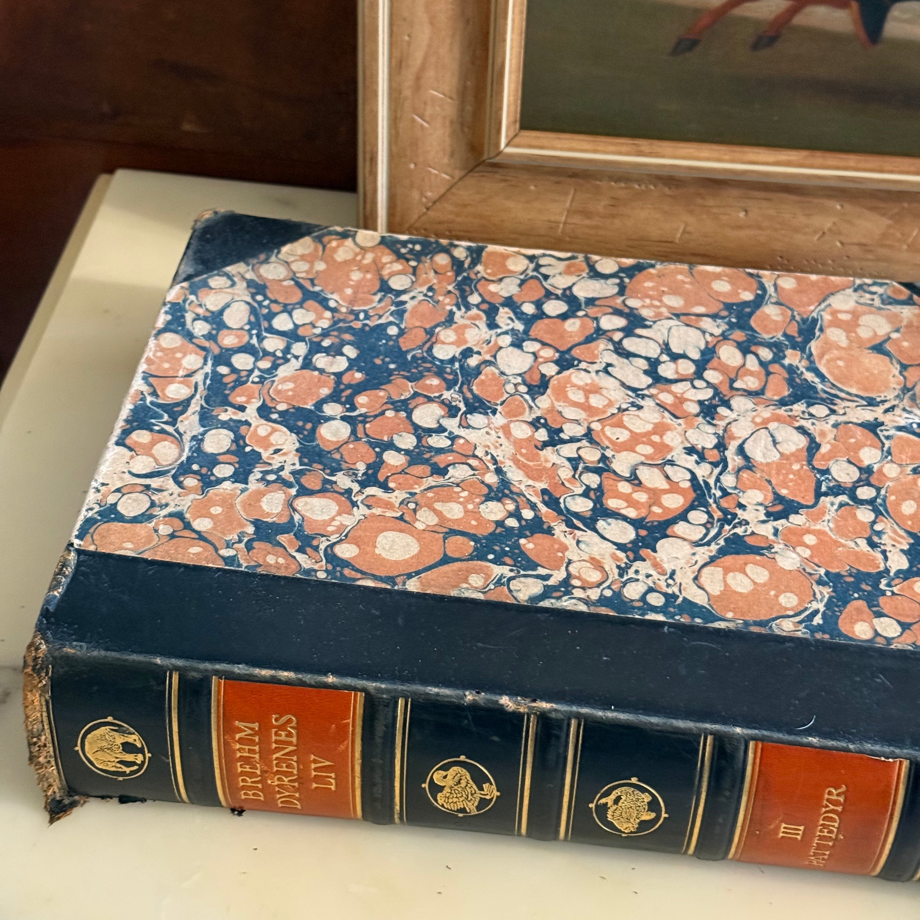 Top view of the 1928 antique book Dyrenes Liv on a marble surface
