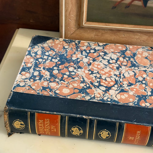 Top view of the 1928 antique book Dyrenes Liv on a marble surface