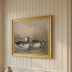 The Waterfowl No. 02 - Archival 8 x 10" Framed Bufflehead Ducks Fine Art Print