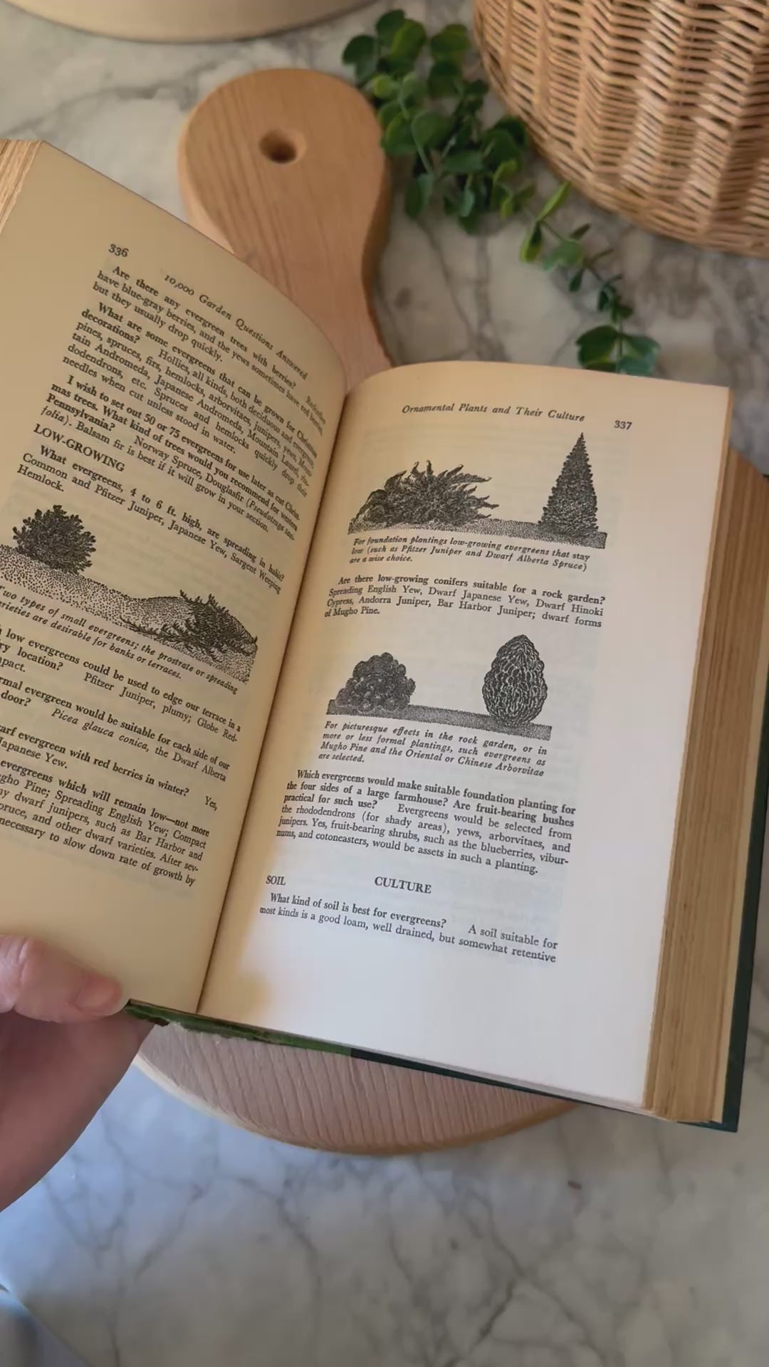 Vintage 10,000 Garden Questions Volumes, Set of 2
