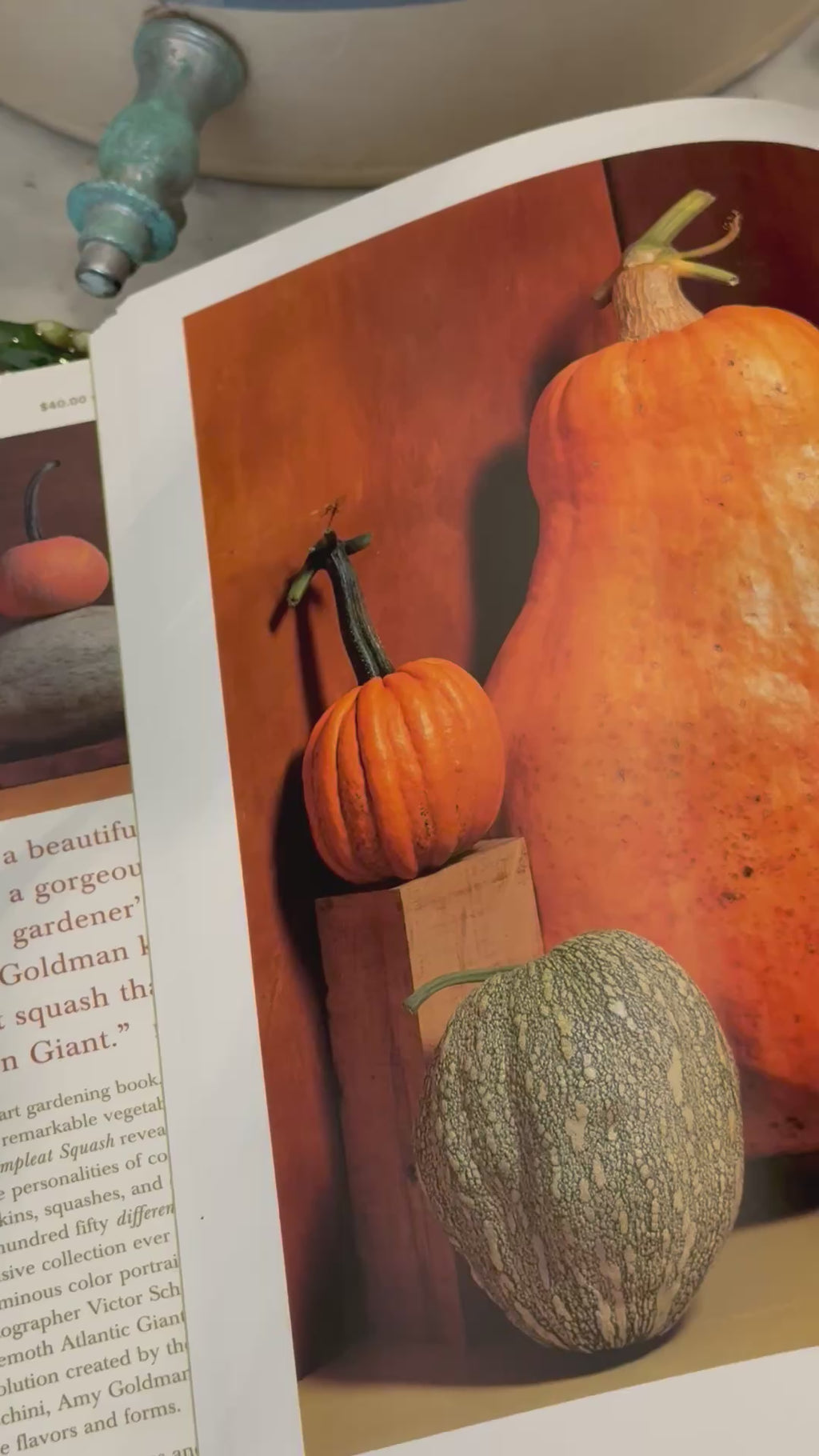 Vintage The Compleat Squash Book by Amy Goldman Hardcover
