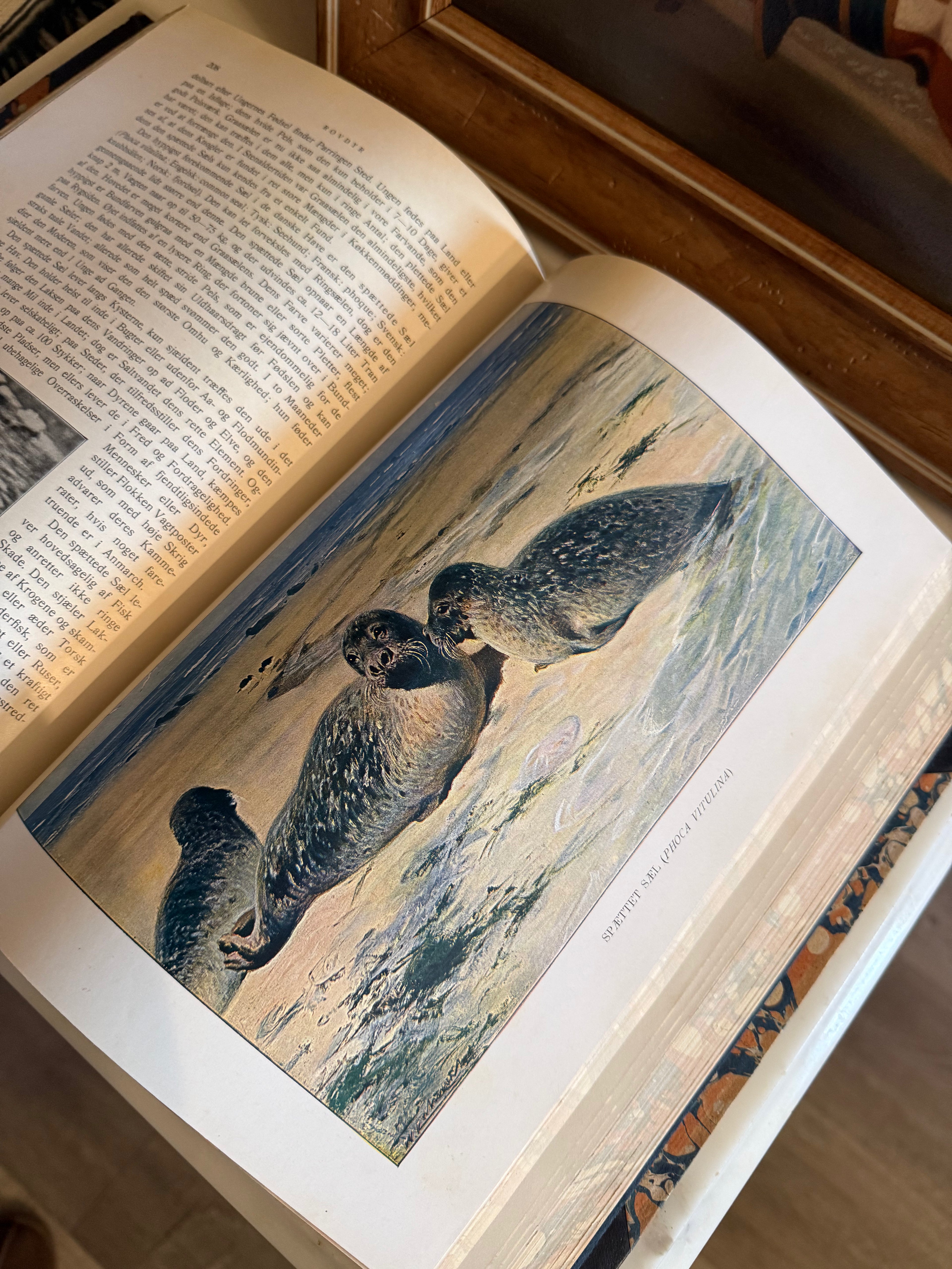 Flip-through of 1928 antique Danish animal encyclopedia showing color plates.