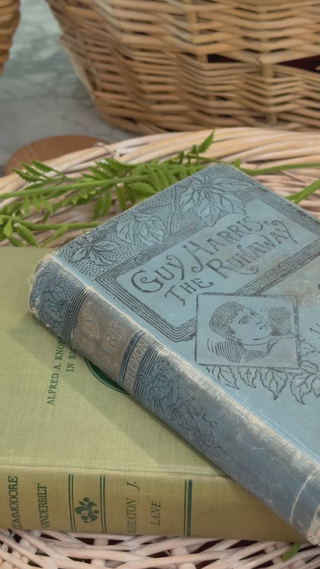 Vintage Guy Harris "The Runaway" Illustrated Children's Book