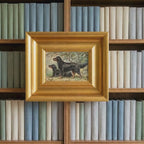 The File Dog No. 07 - 5x7 Framed Fine Art Gordon Setters Hunting Portrait