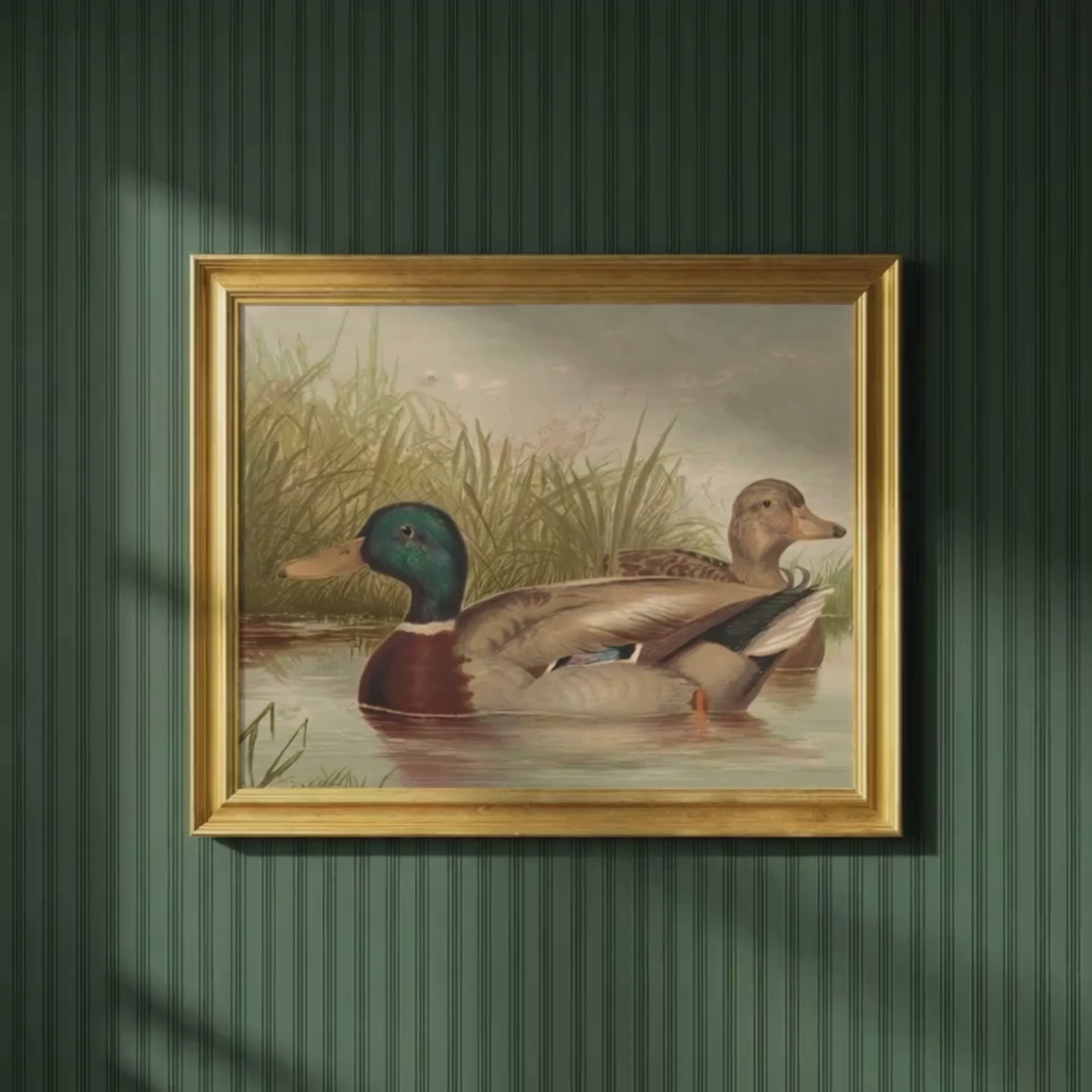 The Waterfowl No. 01 - Archival 8 x 10" Framed Mallards on Pond Fine Art Print