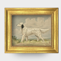 The Field Dog No. 03 - Framed vintage English Setter art print, Alexander Pope Jr. restoration