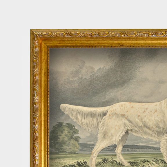 Macro shot of the linen-textured paper and glass finish for The Field Dog No. 04.