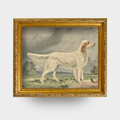 The Field Dog No. 04 - Framed Irish Red and White Setter vintage art print with bird detail.