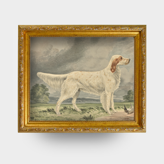 The Field Dog No. 04 - Framed Irish Red and White Setter vintage art print with bird detail.