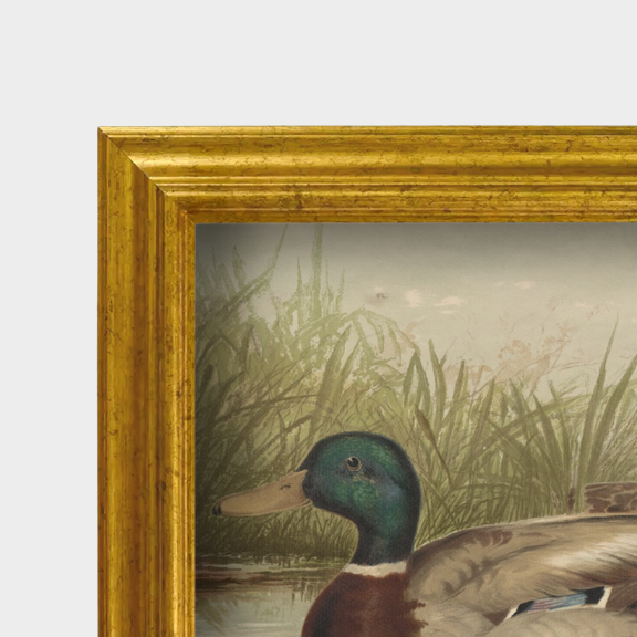 Close-up detail of the hand-finished antique frame and linen texture for The Waterfowl No. 01.